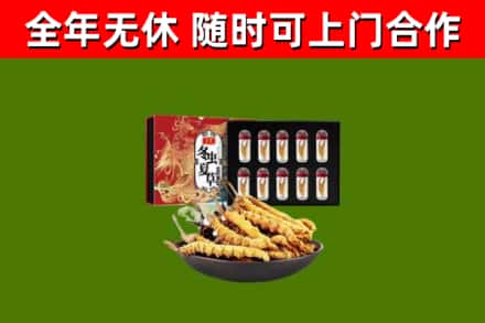 来宾回收冬虫夏草价格